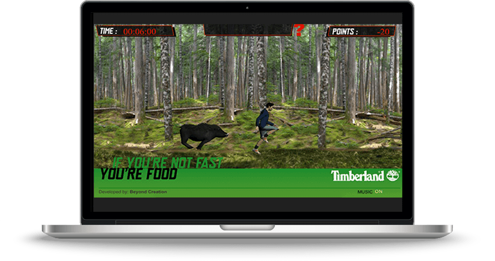 Timberland Web App Development Screenshot